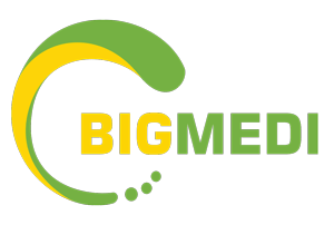 Logo Công Ty Cổ Phần Dược Mỹ Phẩm Bigmedi Group